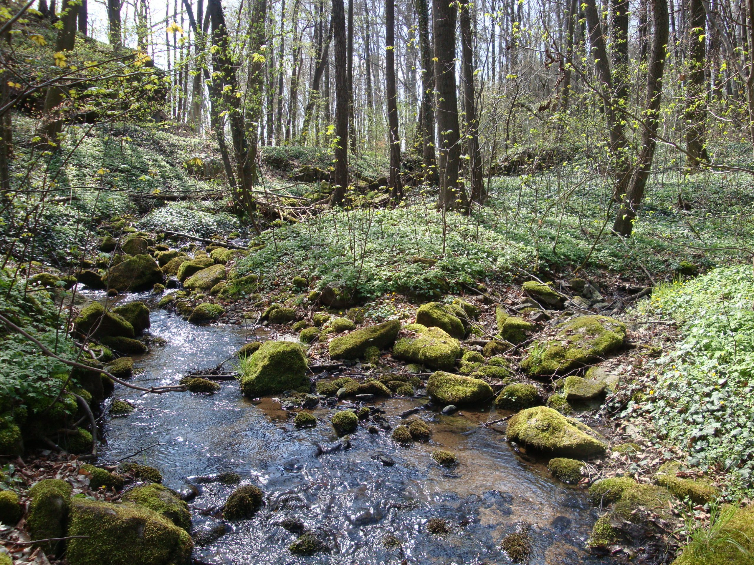 Drehaer Schweiz Fluss